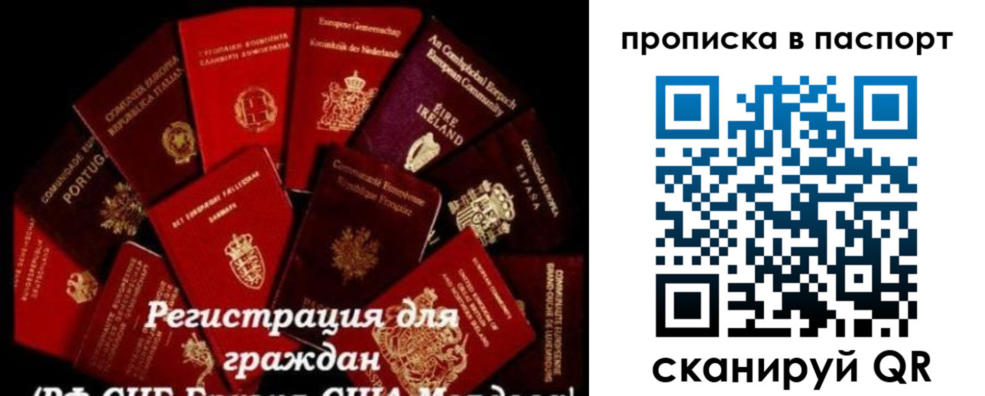 прописка иностранных граждан в Цимлянске